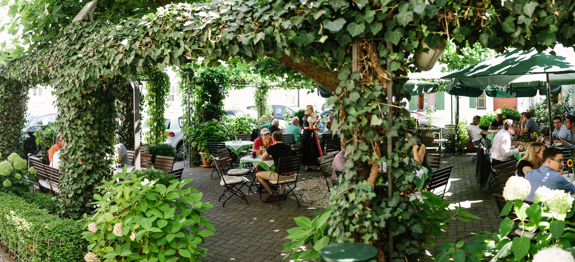 Biergarten des Jungbräu unter grünem Blätterdach